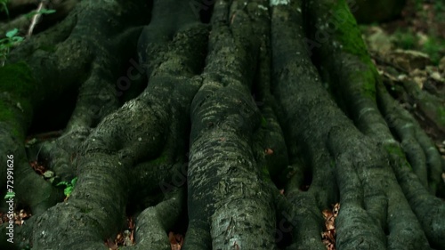 Between Heaven and Earth