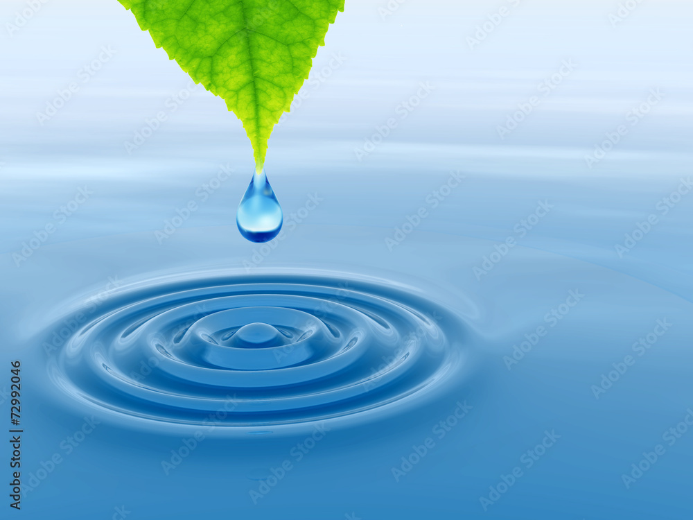 Green leaf with water drop and ripple Green leaf with water drop and ripple