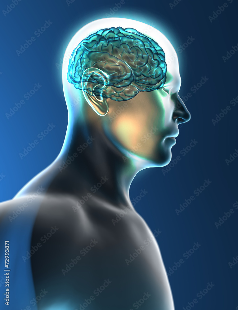 Cervello neuroni sinapsi testa profilo Cervello neuroni sinapsi testa profilo