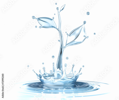 Water splash in form of plant