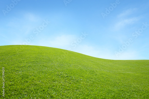 green field with blue sky