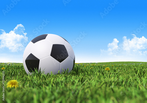Soccer ball on a green grass field © Tatiana Shepeleva