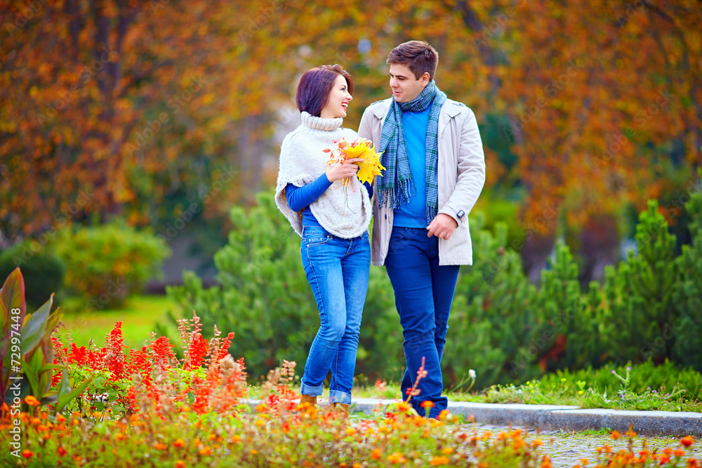 Fototapeta premium happy couple walking in autumn park