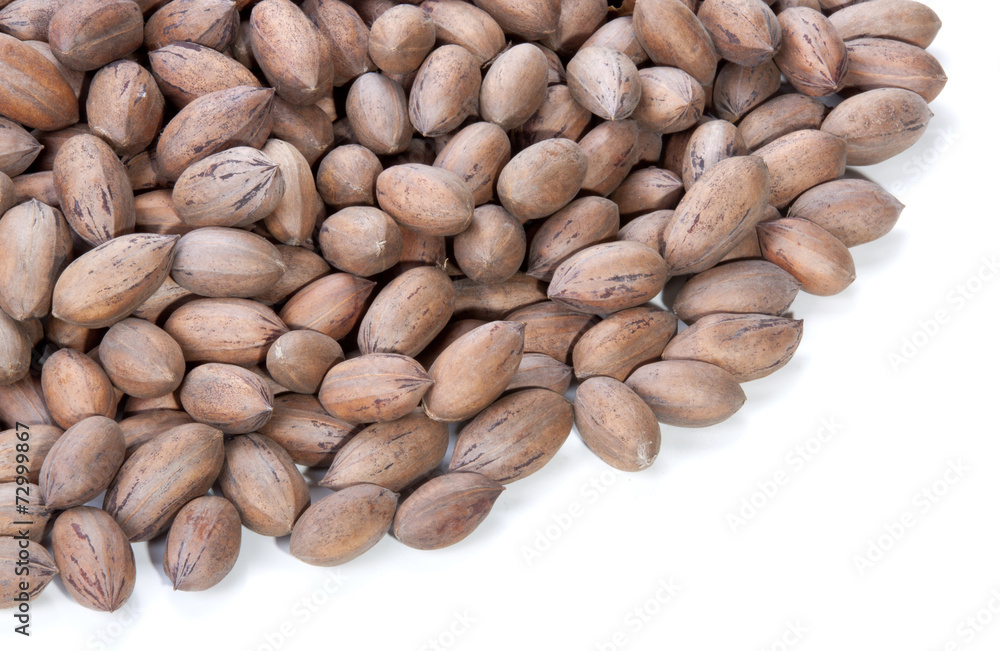 Stack of Unshelled Pecan Nuts with Copy Space Stack of Unshelled Pecan Nuts with Copy Space