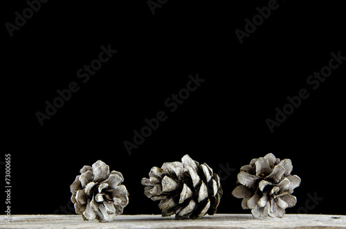 Group of pine tree cones