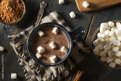 Homemade Dark Hot Chocolate