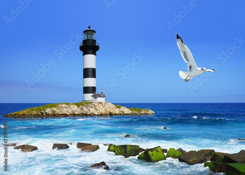 lighthouse on rocks, sea  coast, flying seagull