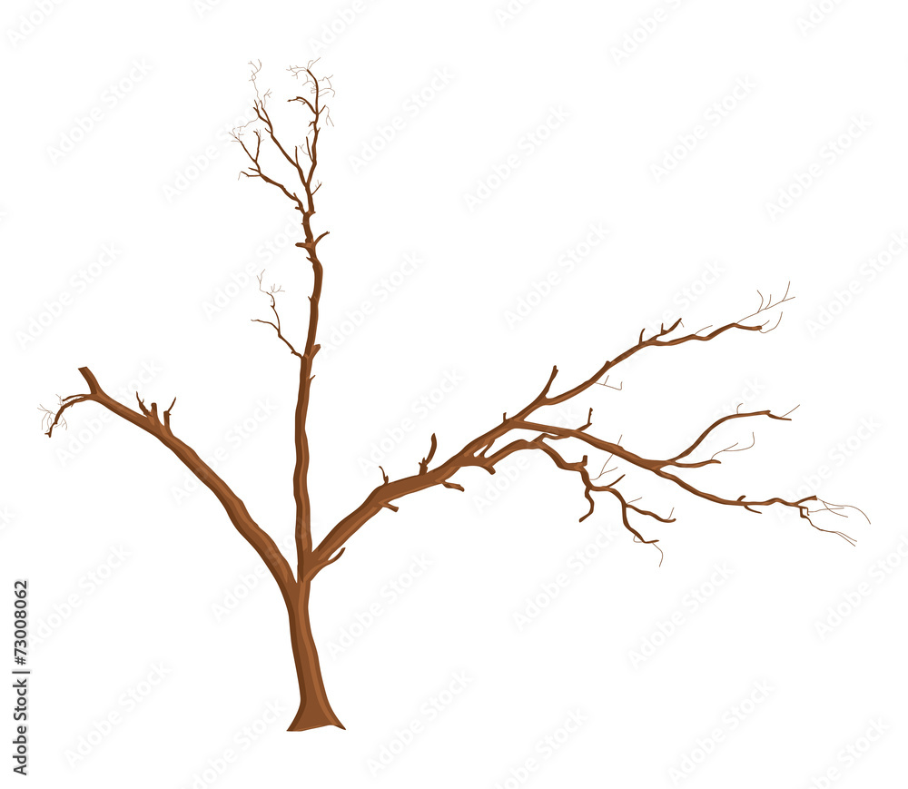 Dead Tree Design Element Dead Tree Design Element
