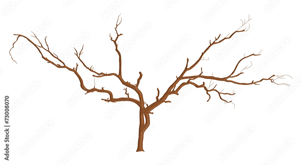 Dead Tree Branches Designs