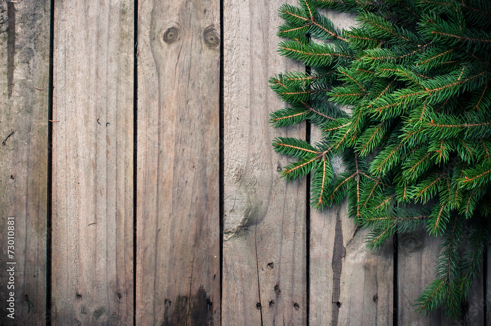 green spruce branches green spruce branches