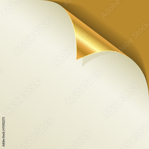Golden page curl with shadow vector template.
