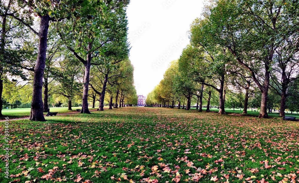Suggestive view of the Green Park in London Suggestive view of the Green Park in London