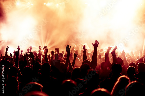 Canvas Print cheering crowd at concert