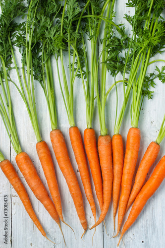 Carrots on the white background