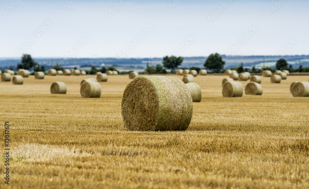 Strohballen auf gemähtem Feld 002010