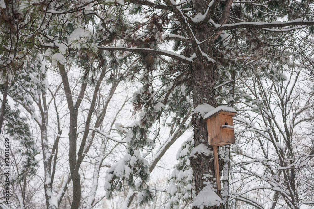 Nesting box under snow