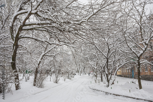 Winter park covered with white snow © Ryzhkov Oleksandr