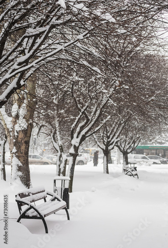 Benches in the winter city park © Ryzhkov Oleksandr