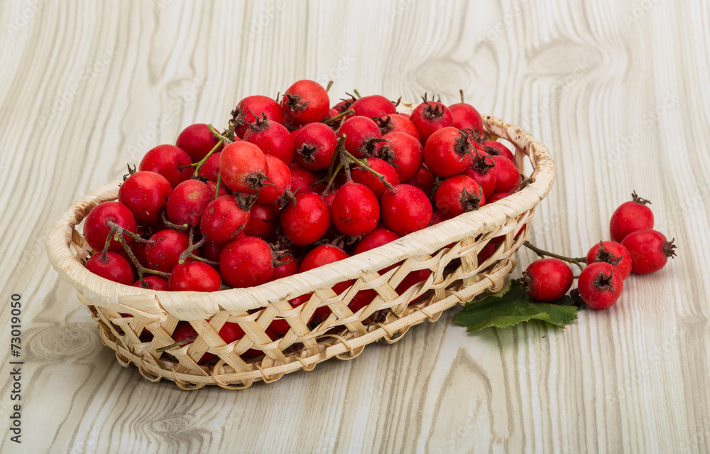 Hawthorn Hawthorn