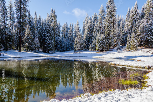 Canvas Print Winter Paradise IV