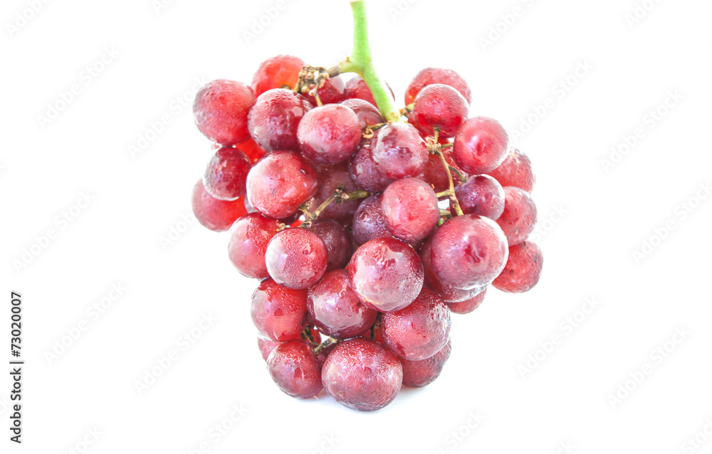 Bunch of red grapes , fresh with water drops. Isolated on white background.