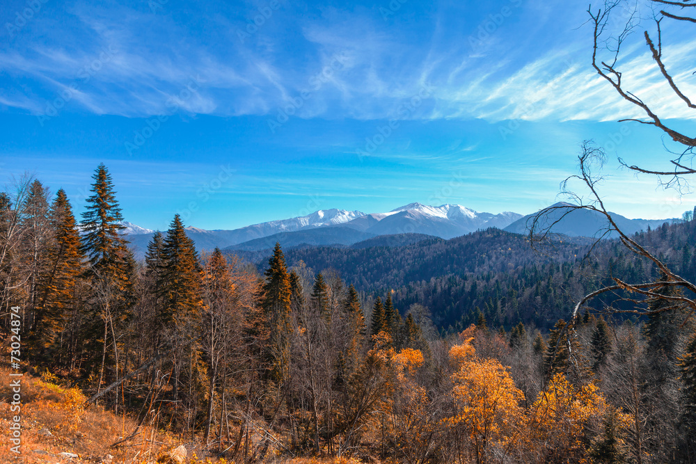 Mountain autumn landscape with orange forest