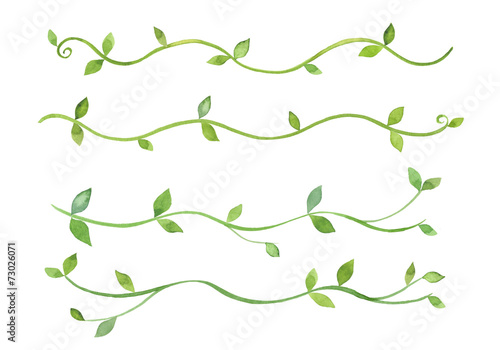 緑の蔓草のライン