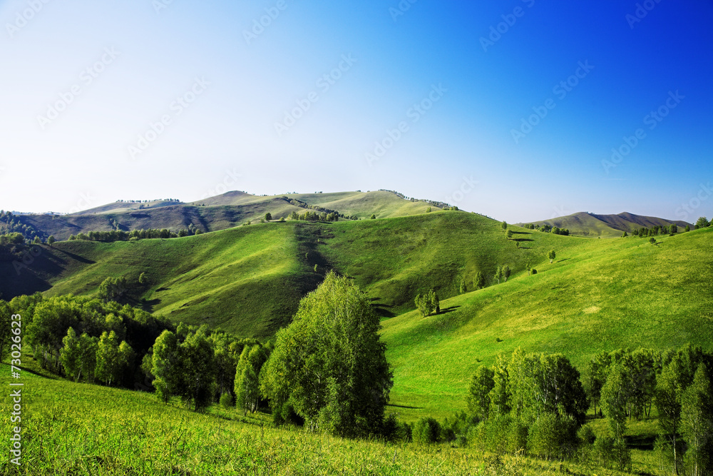 Obraz premium landscape with green hills