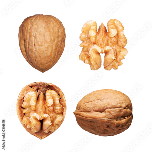 Walnuts set isolated on white photo