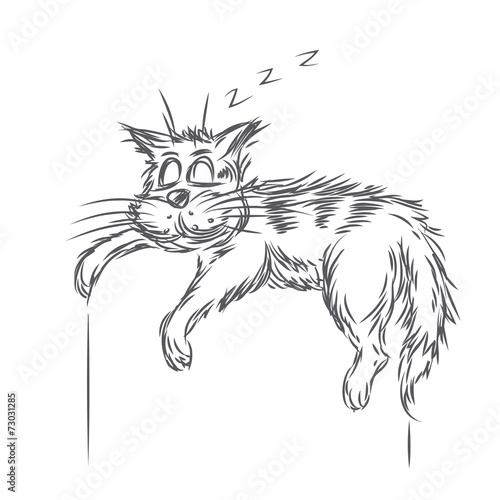 Vector sketch of sleeping cat