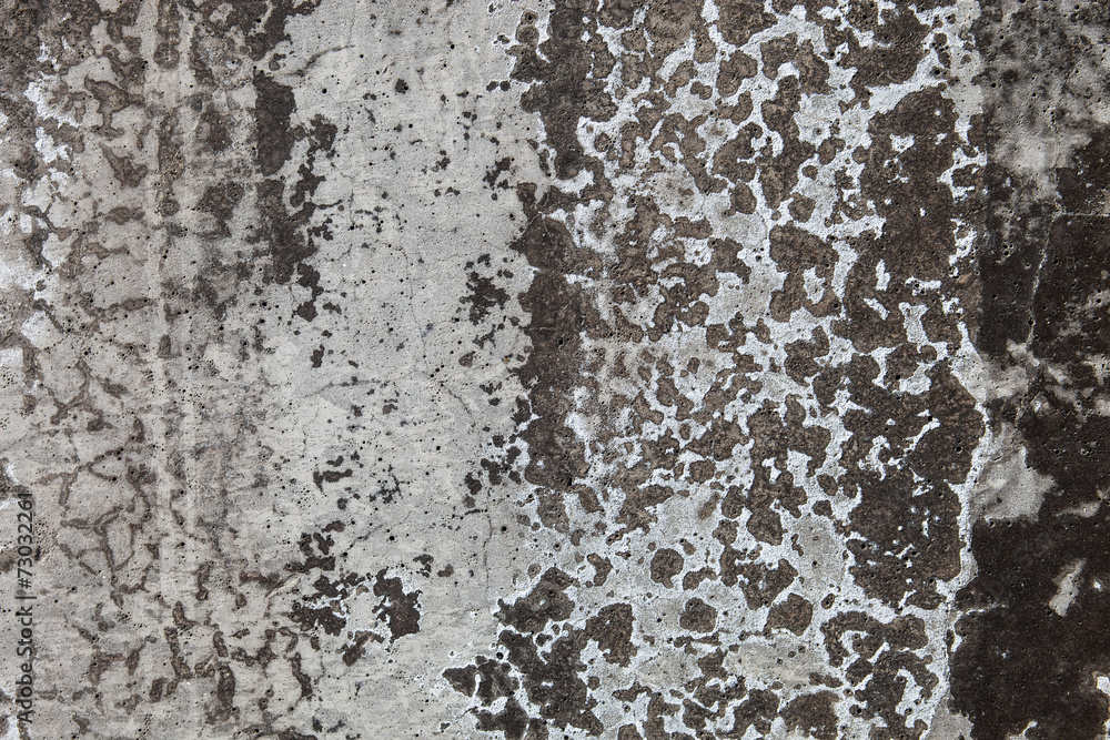 Fototapeta premium Grey concrete surface