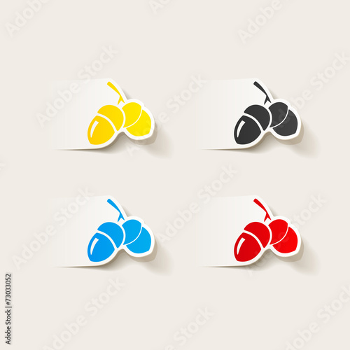 realistic design element: acorns