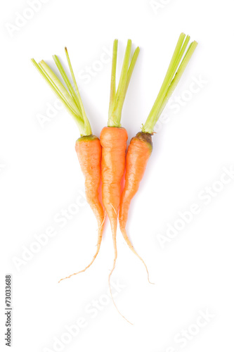 carrots isolated on white-healthy food