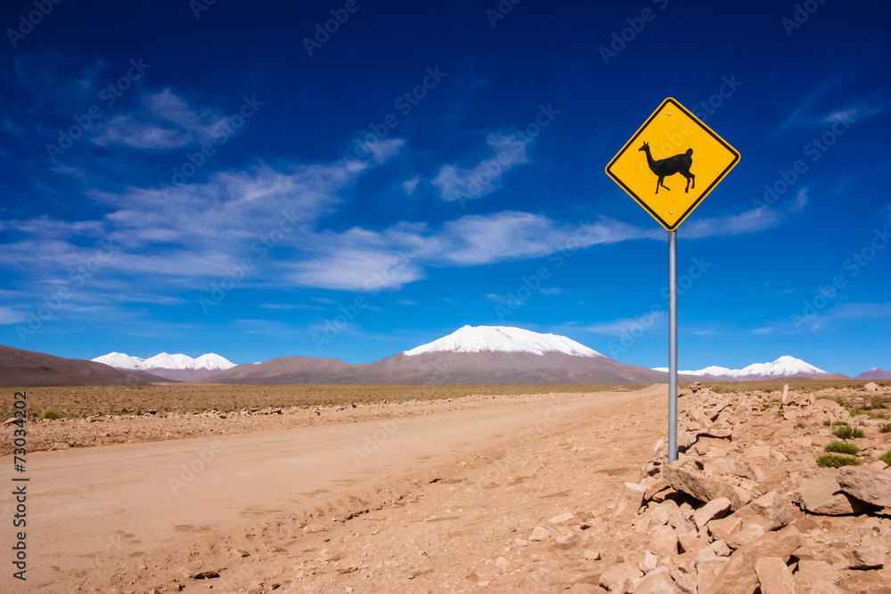 Llama road sign in Bolivia, South America