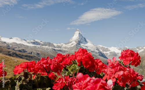 Zermatt, Bergdorf, Blumendekoration, Wallis, Alpen, Schweiz