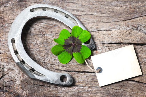 Photography Horseshoe and four leaf clover