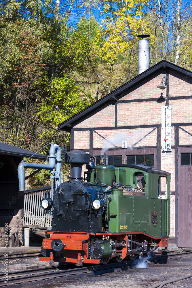 Fototapeta premium steam locomotive, Johstadt, Germany