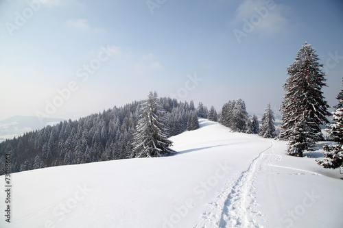 Winterlandschaft © Arcyd
