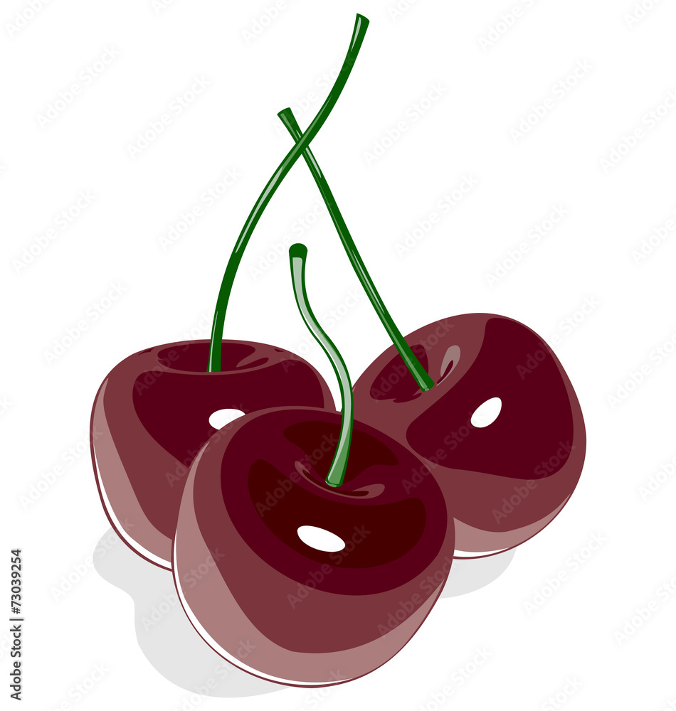 Dark red sweet cherry isolated on white background Dark red sweet cherry isolated on white background