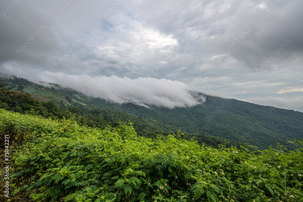 The mountains in countryside of Chiang Rai province of Thailand covered with the mist after the raining.