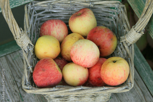 Ripe apple in braided basket