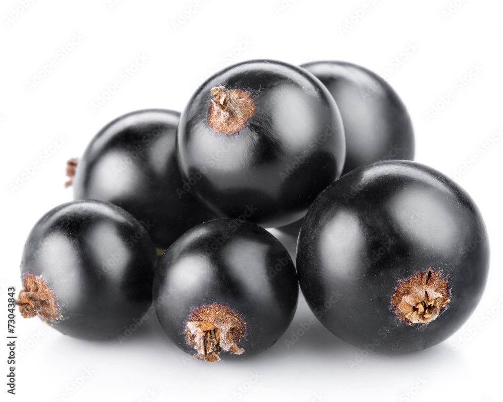 Black currant Black currant
