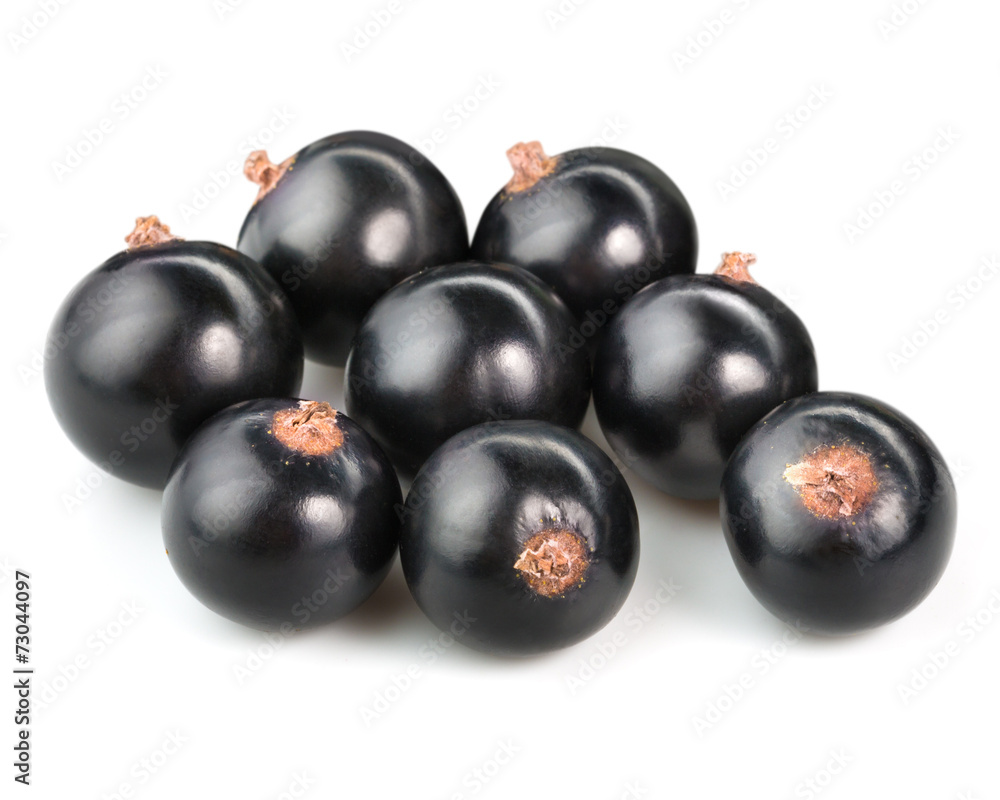Black currant Black currant