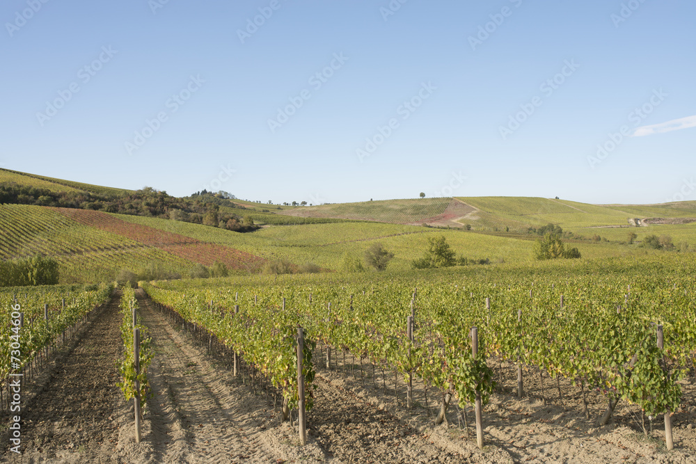 Tusca hills Tusca hills