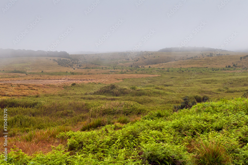 Horton Plains National Park. Sri Lanka Horton Plains National Park. Sri Lanka