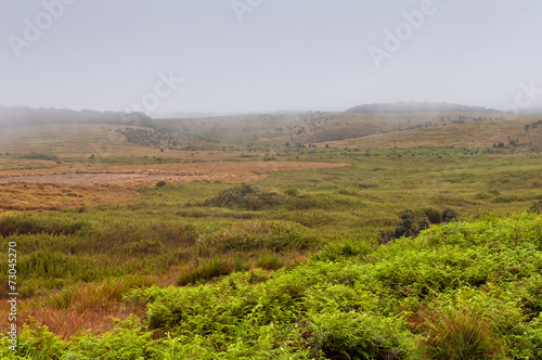 Horton Plains National Park. Sri Lanka