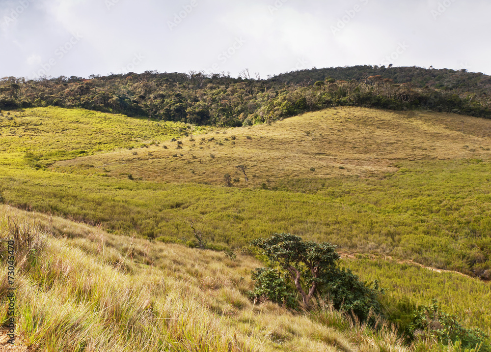 Horton Plains National Park. Sri Lanka Horton Plains National Park. Sri Lanka