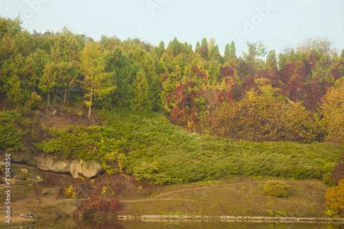 multi colored trees in a park in autumn