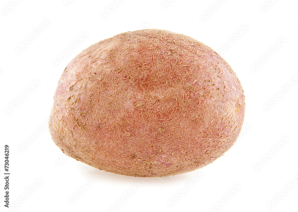 potato potato