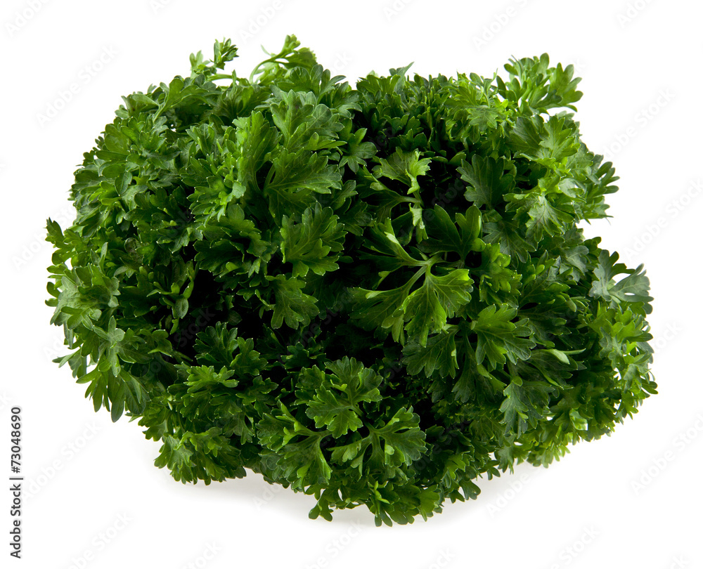 Obraz premium parsley